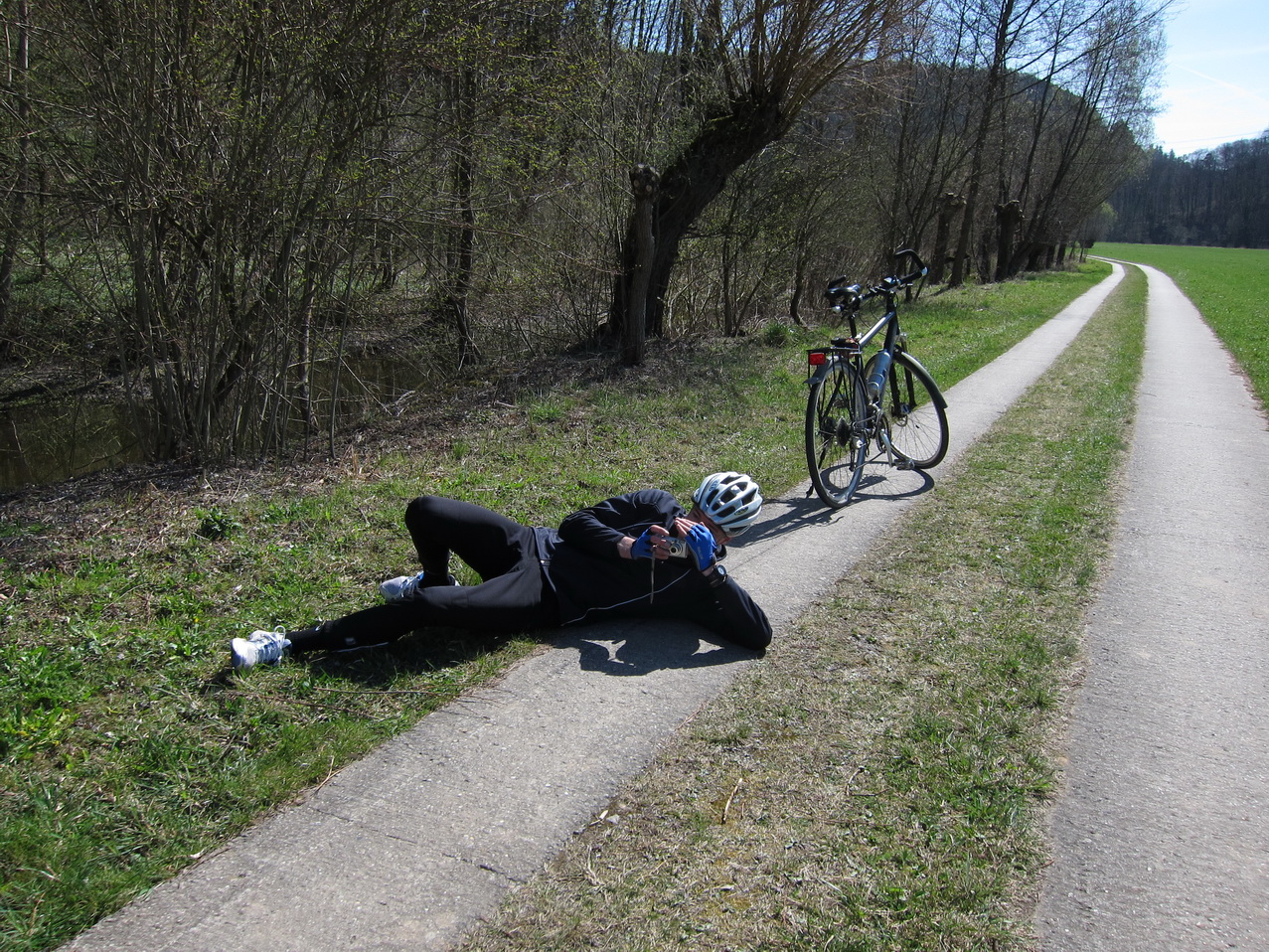 vorsicht Fahrradfahrer: ein Biber auf dem linken Streifen...